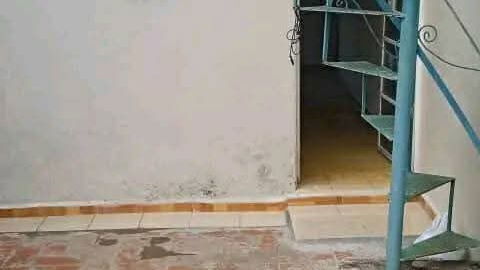 Tel: 54021389