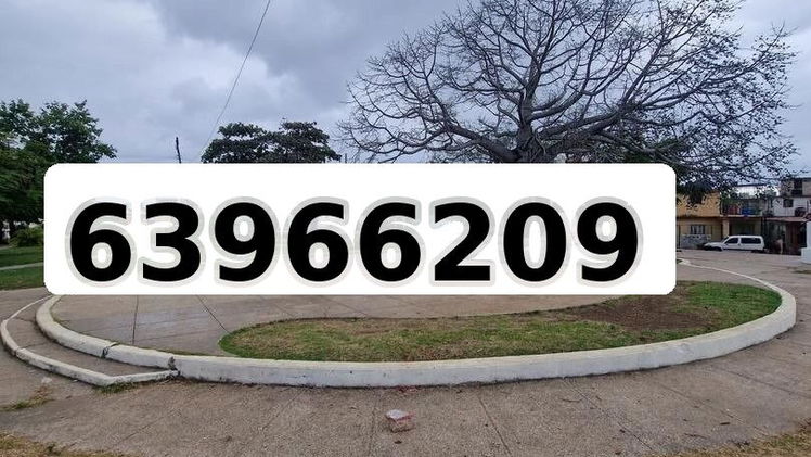 Tel: 63966209