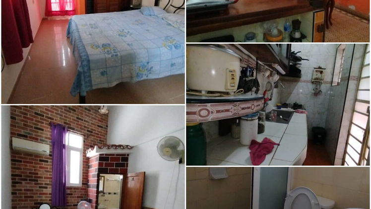 Tel: 53496218