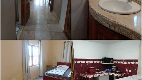 Tel: 53496218