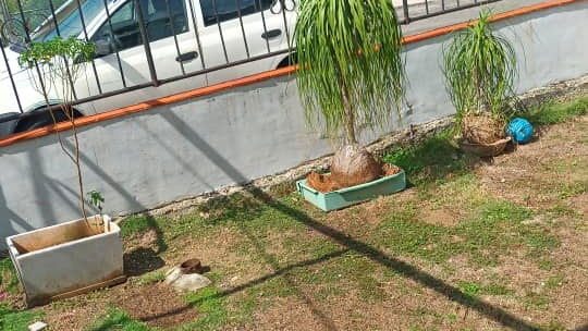 Tel: 53582376