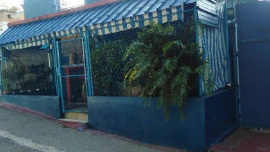 Tel: 55365921